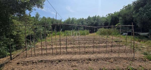 Terreno en Cañete la Real
