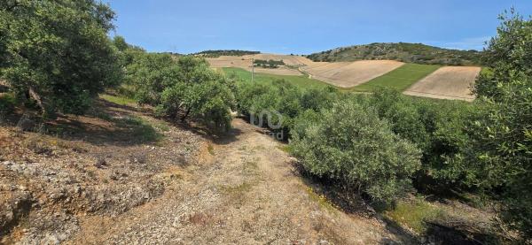 Terreno en Cañete la Real