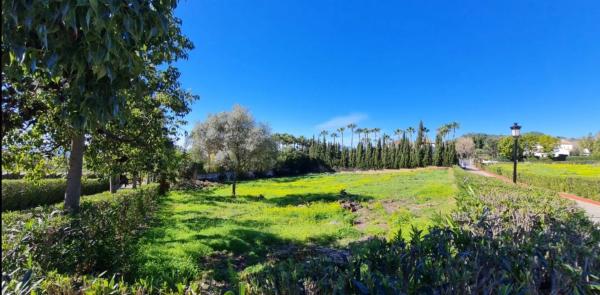 Terreno en calle Huerta del Fraile s/n