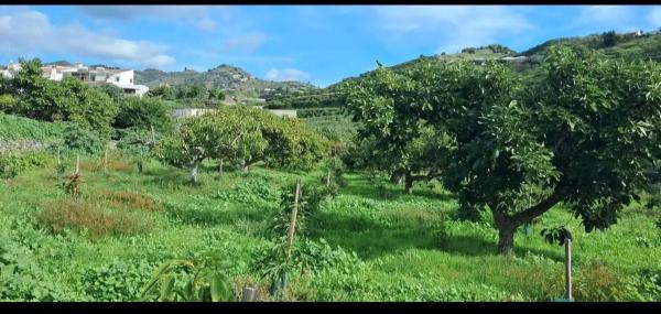 Terreno en avenida de Karat, km 0