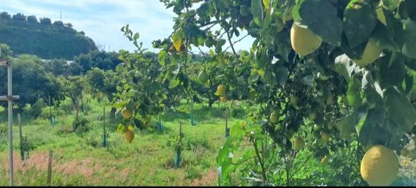 Terreno en avenida de Karat, km 0