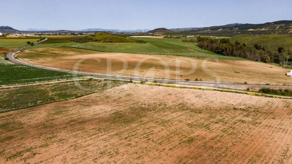 Terreno en la zona de Antequera (regadío)