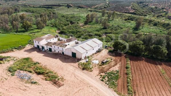 Terreno en la zona de Antequera (regadío)