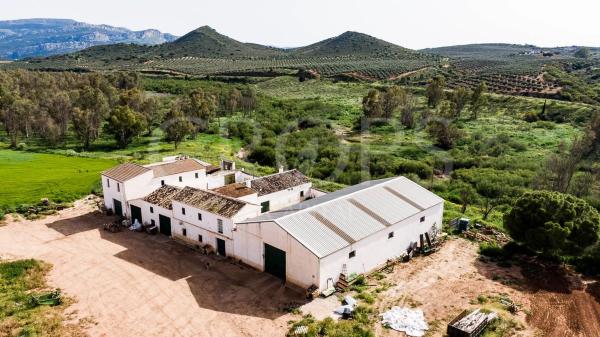 Terreno en la zona de Antequera (regadío)