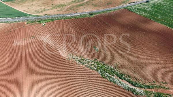 Terreno en la zona de Antequera (regadío)