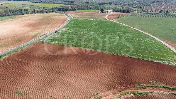 Terreno en la zona de Antequera (regadío)