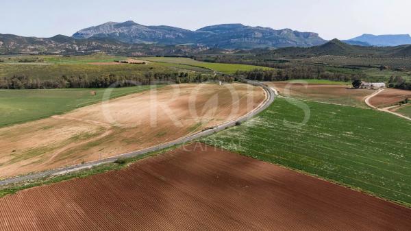 Terreno en la zona de Antequera (regadío)