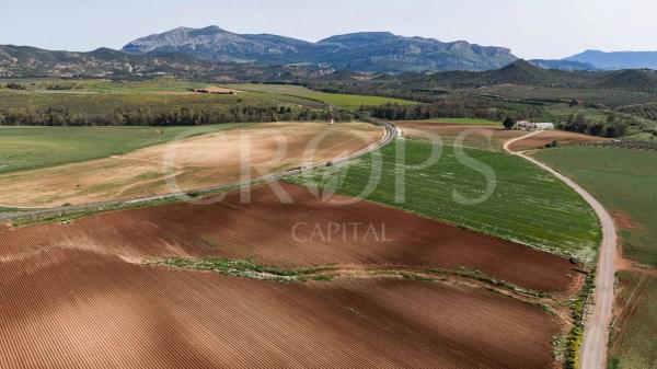 Terreno en la zona de Antequera (regadío)