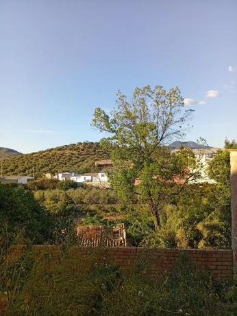 Terreno en plaza San Miguel