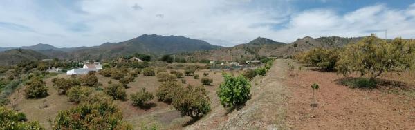 Terreno en disiminado, 1