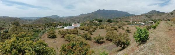 Terreno en disiminado, 1