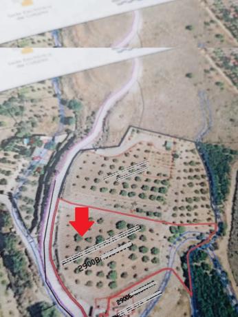 Terreno en disiminado, 1