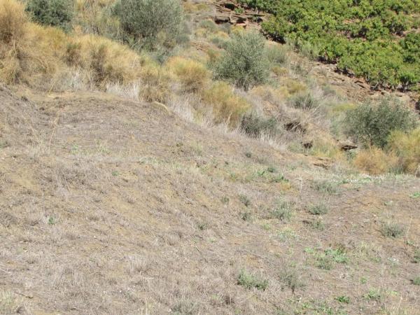 Terreno en Barranco El Puerto s/n