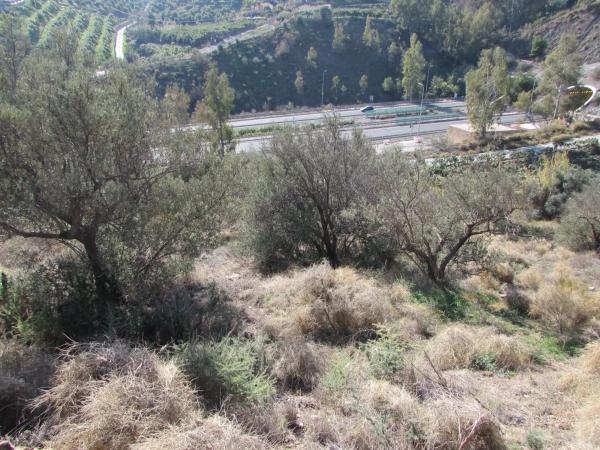 Terreno en Barranco El Puerto s/n
