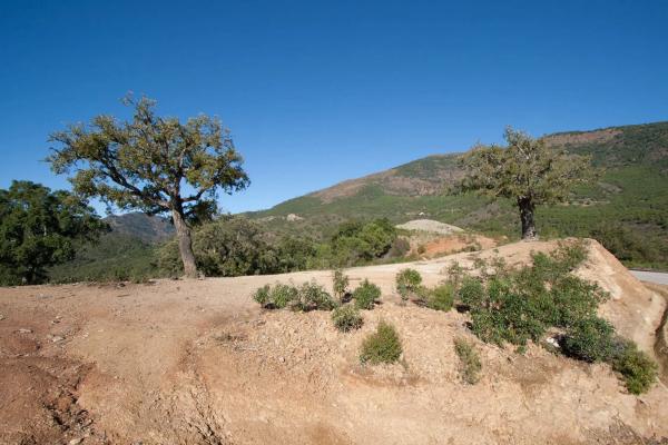 Terreno en La Zagaleta