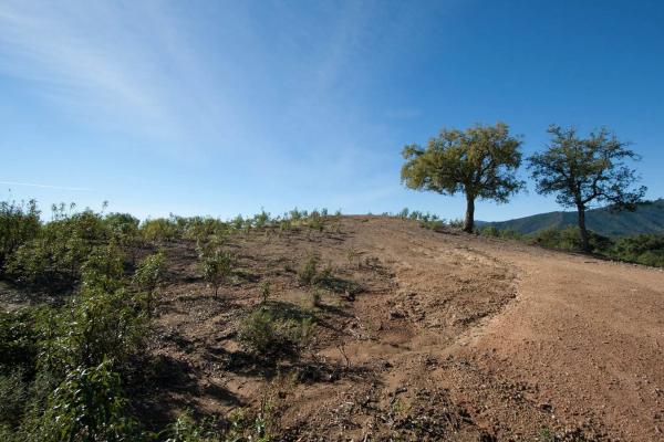 Terreno en La Zagaleta