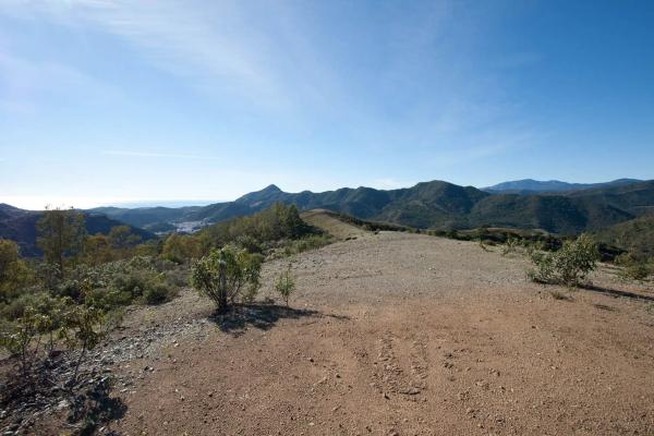 Terreno en La Zagaleta