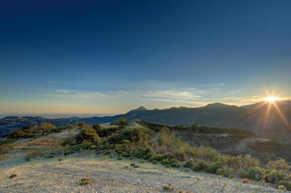 Terreno en La Zagaleta