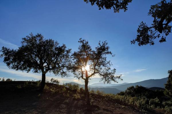 Terreno en La Zagaleta
