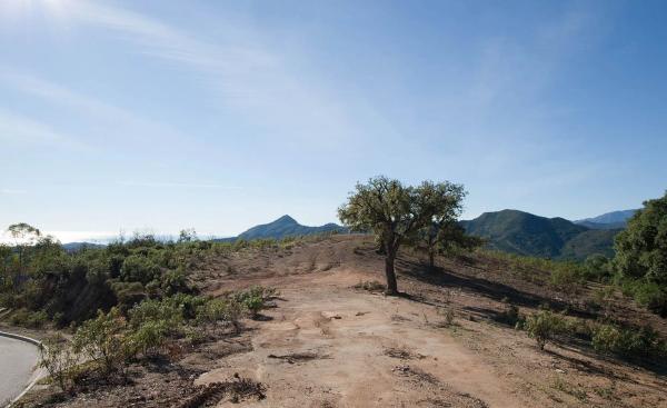 Terreno en La Zagaleta