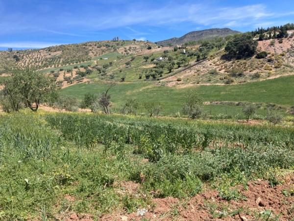 Terreno en Diseminado Poligono 1, 51 a