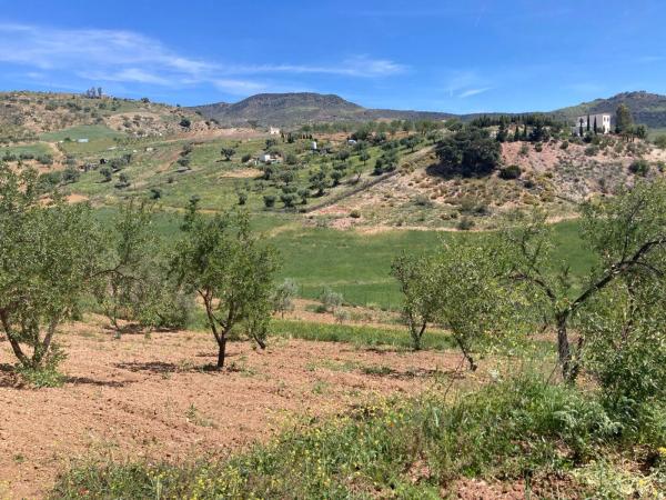 Terreno en Diseminado Poligono 1, 51 a