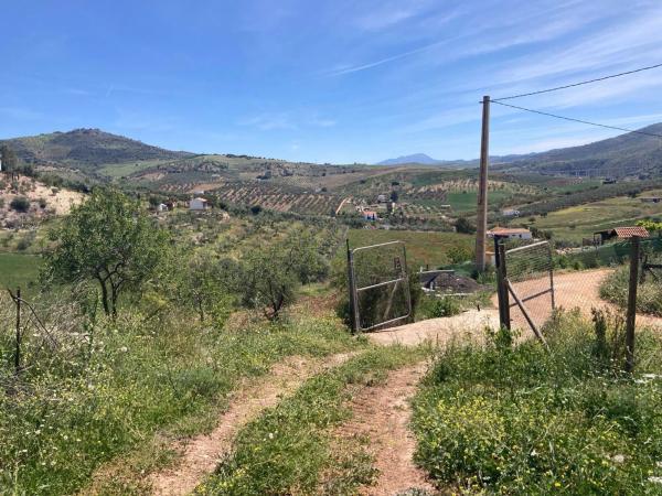 Terreno en Diseminado Poligono 1, 51 a