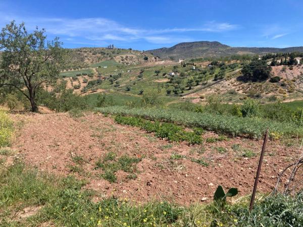 Terreno en Diseminado Poligono 1, 51 a