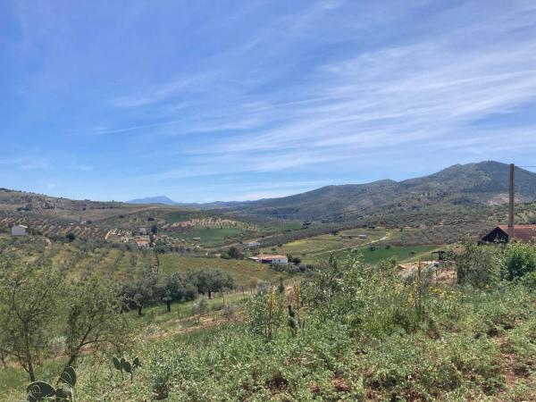 Terreno en Diseminado Poligono 1, 51 a