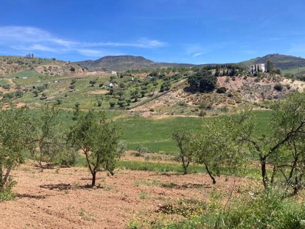 Terreno en Diseminado Poligono 1, 51 a