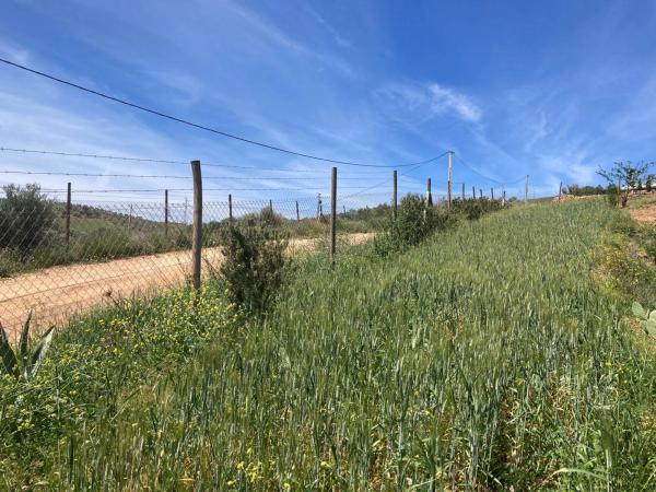 Terreno en Diseminado Poligono 1, 51 a