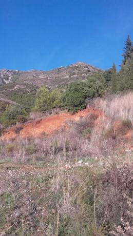 Terreno en la alqueria