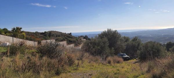 Terreno en la alqueria