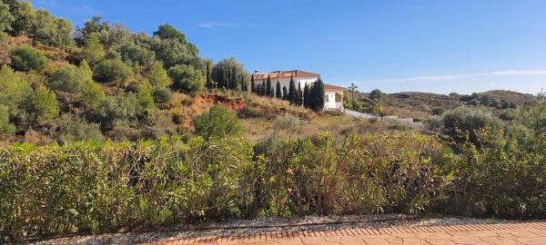 Terreno en la alqueria