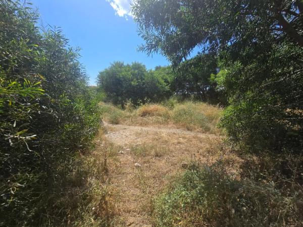 Terreno en calle Notarios, 6