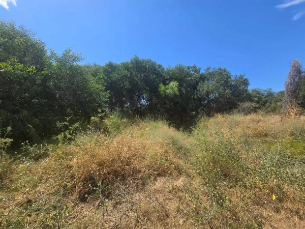 Terreno en calle Notarios, 6