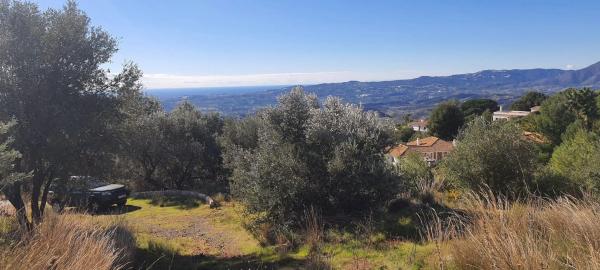 Terreno en la alqueria