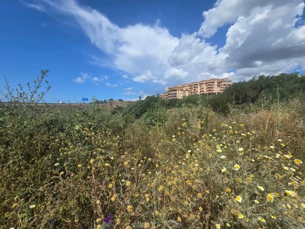 Terreno en calle Notarios, 6