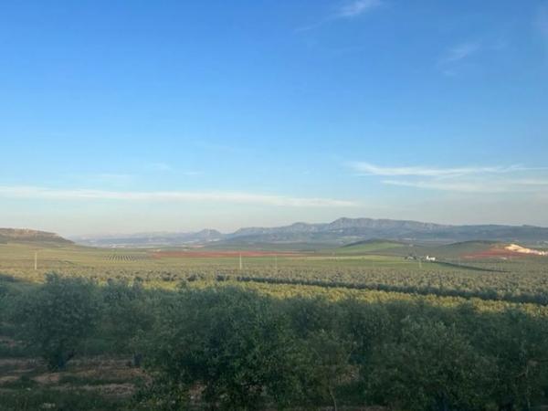 Terreno en Ma-5406, km 1