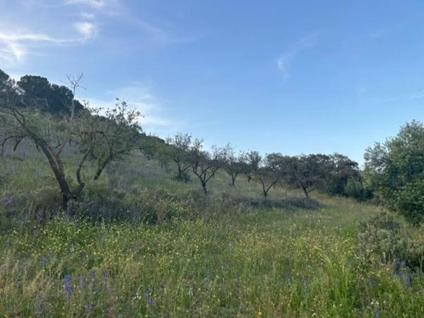 Terreno en Ma-5406, km 1