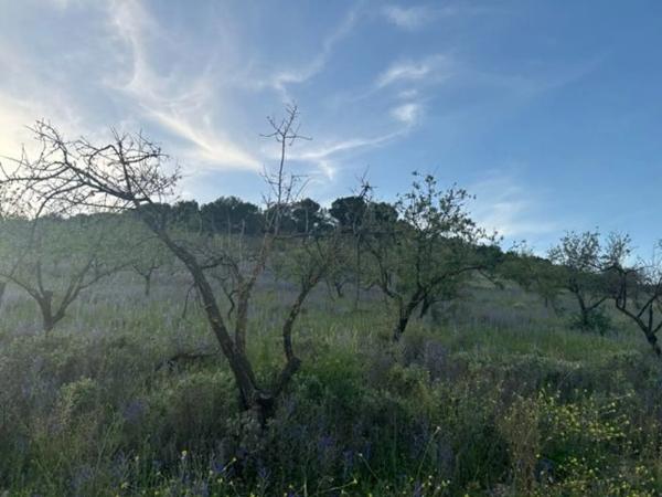 Terreno en Ma-5406, km 1