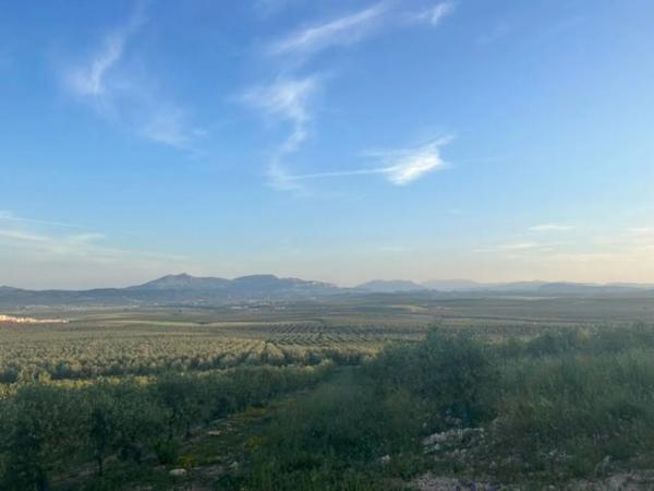 Terreno en Ma-5406, km 1