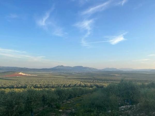 Terreno en Ma-5406, km 1