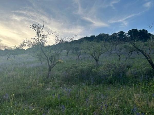 Terreno en Ma-5406, km 1