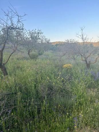 Terreno en Ma-5406, km 1