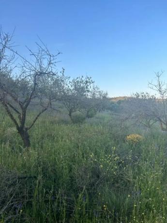 Terreno en Ma-5406, km 1