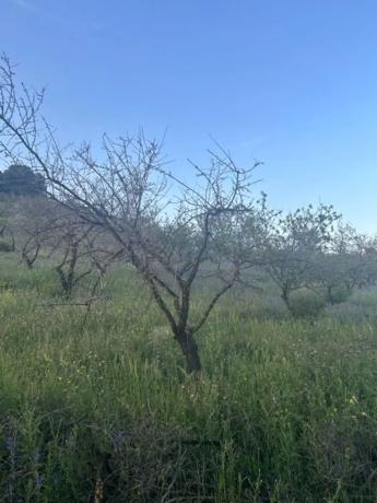 Terreno en Ma-5406, km 1