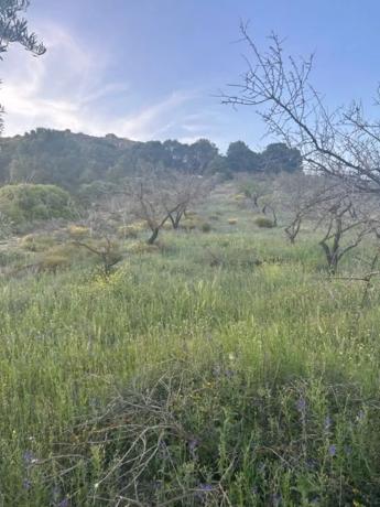 Terreno en Ma-5406, km 1