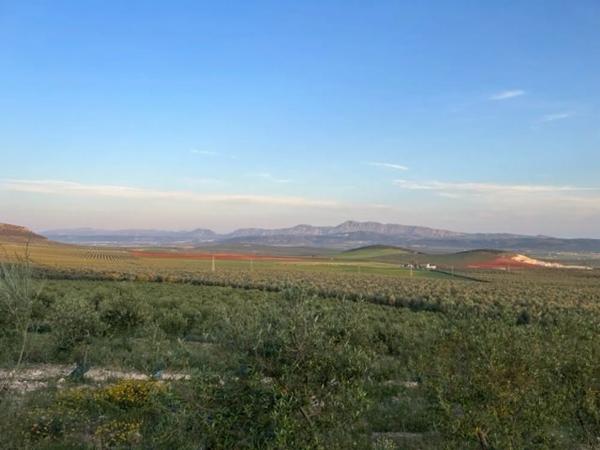 Terreno en Ma-5406, km 1