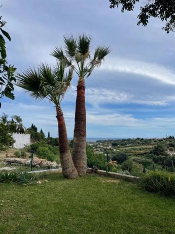 Terreno en Barrio El Velerín